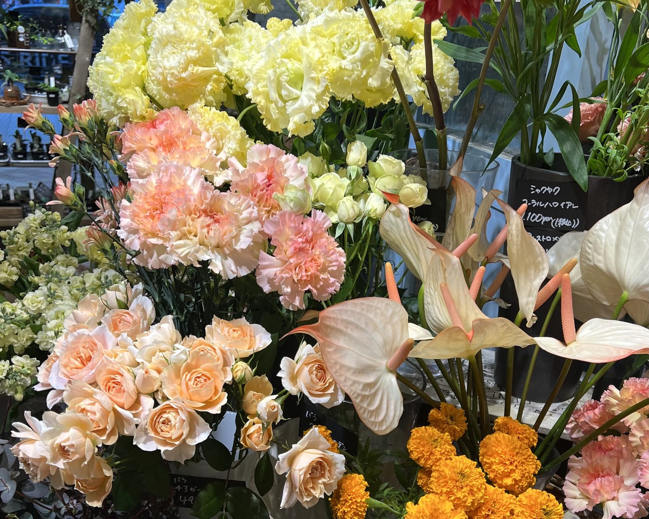立川市 5月8日 日 ルミネ1階のお花屋さん フルラージュアンでカーネーションを買いました 号外net 立川市 昭島市